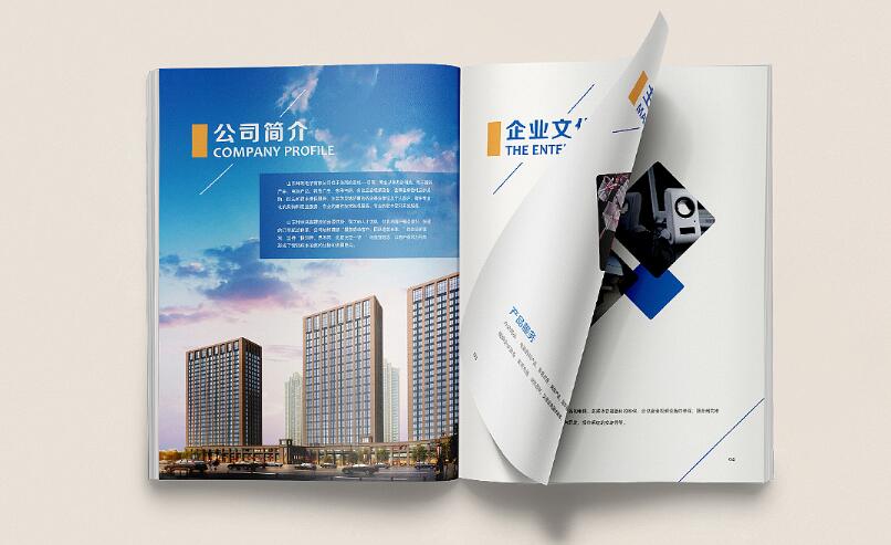廣州電子畫(huà)冊(cè)樣板設(shè)計(jì)案例欣賞
