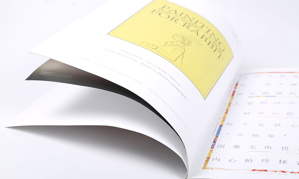 精美畫(huà)冊(cè)設(shè)計(jì)印刷-精美畫(huà)冊(cè)設(shè)計(jì)印刷公司